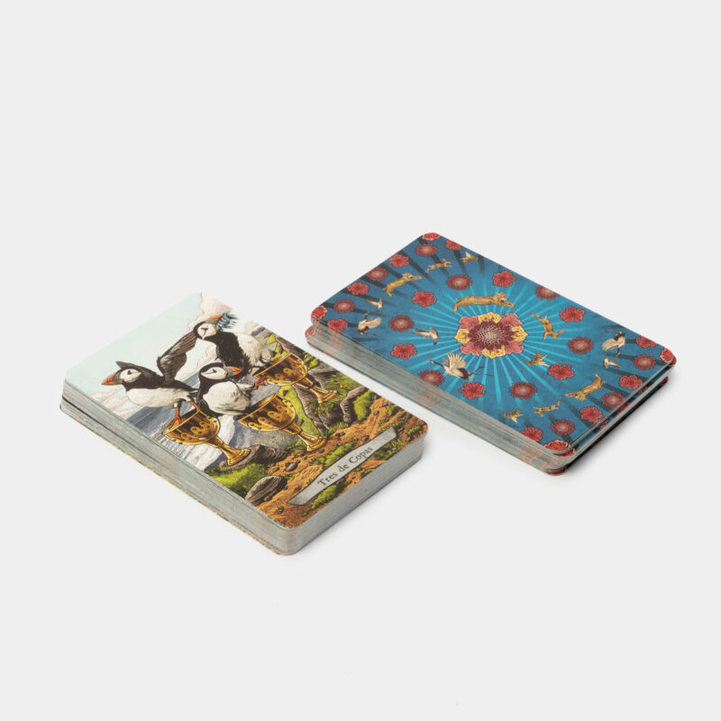 Tarot de los animales totémicos con cartas - Image 2